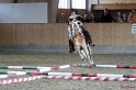 Trail_453