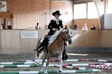 Trail_460