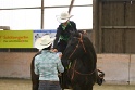 OWTWP_046