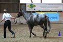 HIHC_055