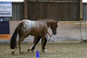 HIHC_107