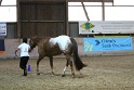 HIHC_118