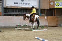 TRAIL_048