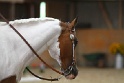TRAIL_069