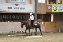 TRAIL_207