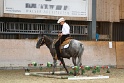 TRAIL_209