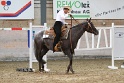 TRAIL_215