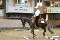 TRAIL_216