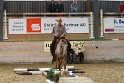 TRAIL_223