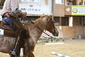 TRAIL_225