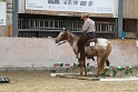 TRAIL_232
