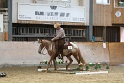 TRAIL_233
