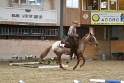 TRAIL_238