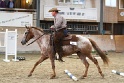 TRAIL_241