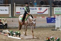 TRAIL_255