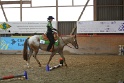 TRAIL_262