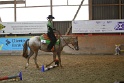 TRAIL_263