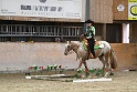TRAIL_265