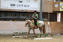 TRAIL_266