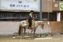 TRAIL_267