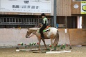 TRAIL_268