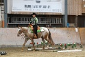 TRAIL_269