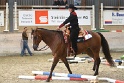 TRAIL_310