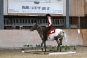 TRAIL_325
