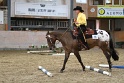 TRAIL_355