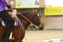 TRAIL_371