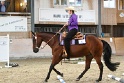 TRAIL_388