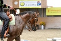 TRAIL_405