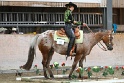 TRAIL_412