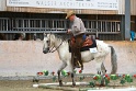 TRAIL_443