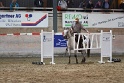 TRAIL_444