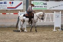 TRAIL_446
