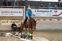 TRAIL_462