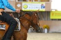 TRAIL_465