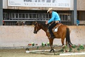 TRAIL_470
