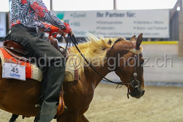 Reining_002.jpg