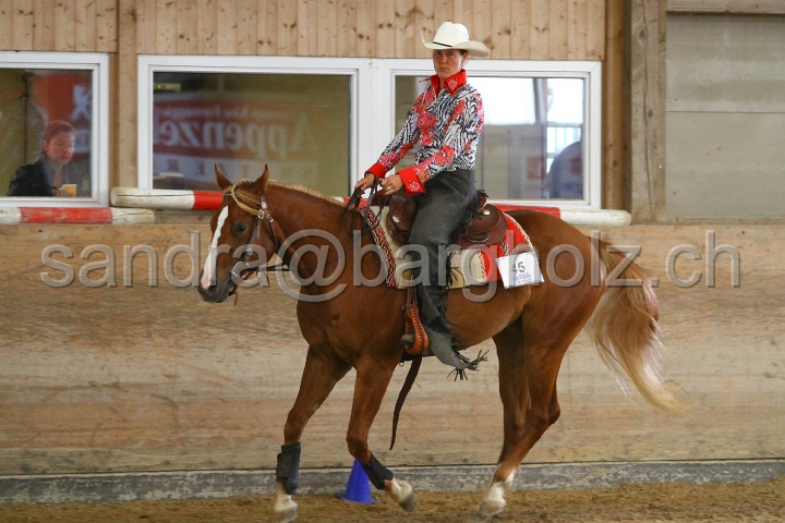 Reining_004.jpg