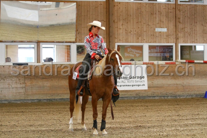 Reining_007.jpg
