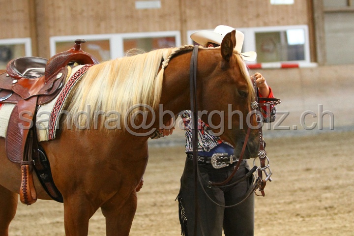 Reining_016.jpg