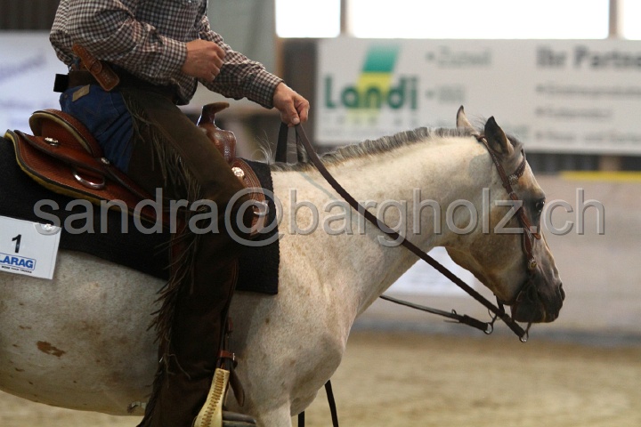 Reining_019.jpg