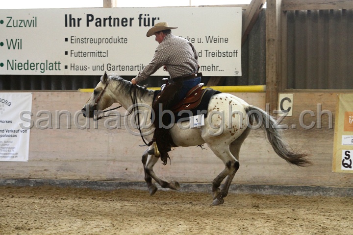 Reining_021.jpg