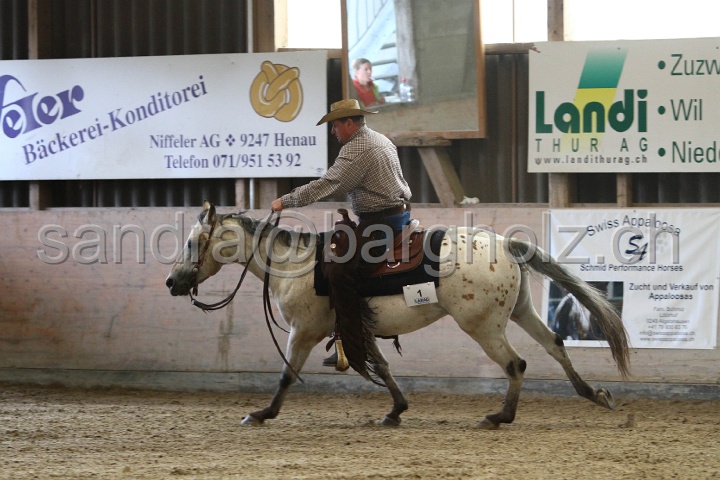 Reining_022.jpg
