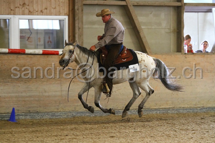 Reining_023.jpg