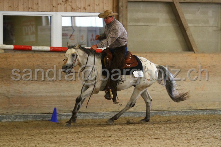 Reining_024.jpg