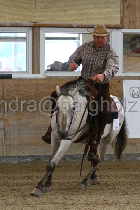 Reining_026.jpg