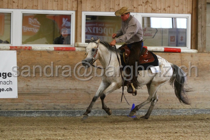 Reining_027.jpg